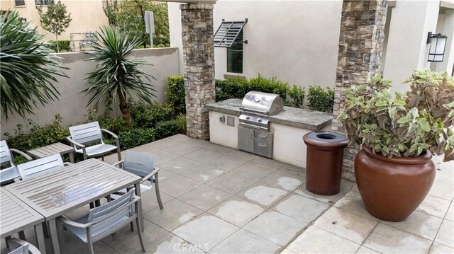 view of patio / terrace with area for grilling and a grill