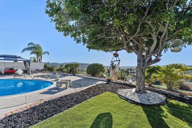 pool featuring a patio area and a yard