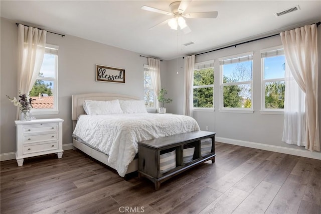 bedroom with dark wood finished floors, multiple windows, and baseboards