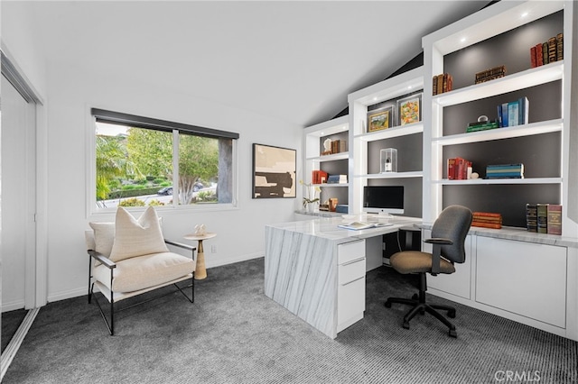 32252 Azores Rd, Dana Point, CA 92629 - office space featuring dark colored carpet, built in desk, and lofted ceiling