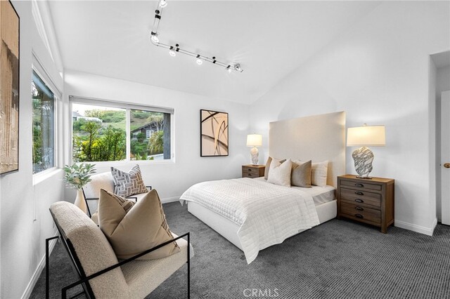 bedroom with baseboards, carpet floors, lofted ceiling, and rail lighting