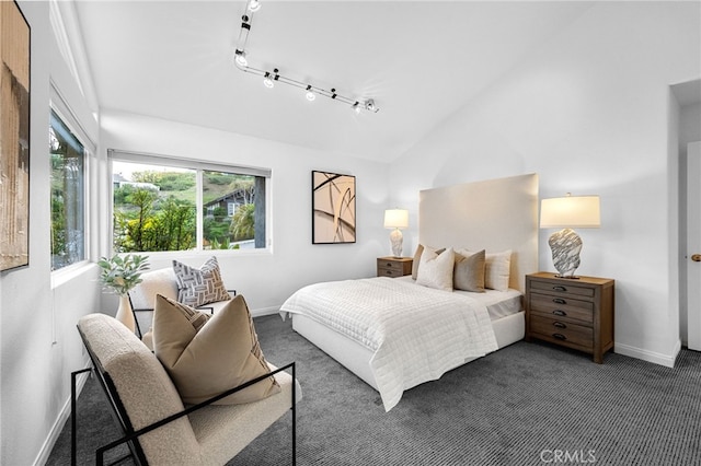 32252 Azores Rd, Dana Point, CA 92629 - carpeted bedroom with baseboards, lofted ceiling, and track lighting