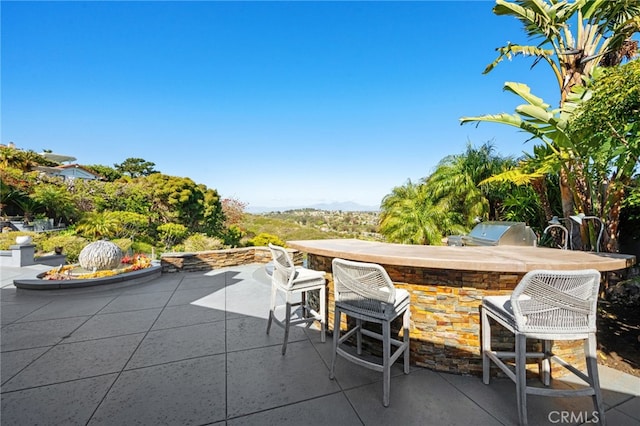 view of patio / terrace featuring area for grilling and outdoor wet bar