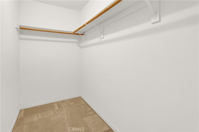 spacious closet featuring light colored carpet