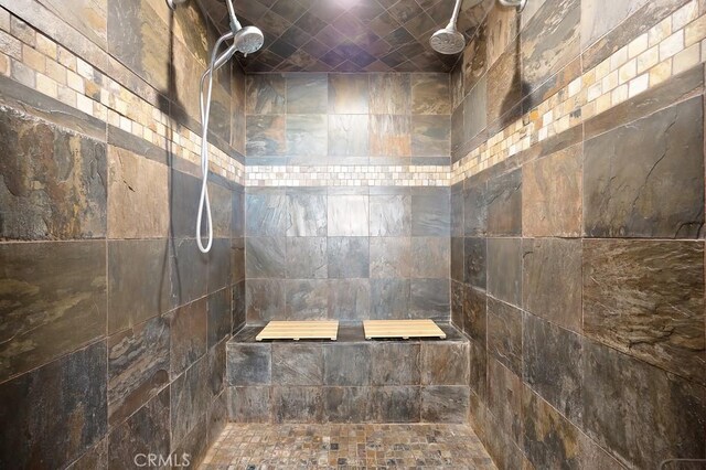 full bathroom featuring a tile shower