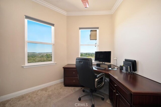 home office with baseboards, light colored carpet, and ornamental molding