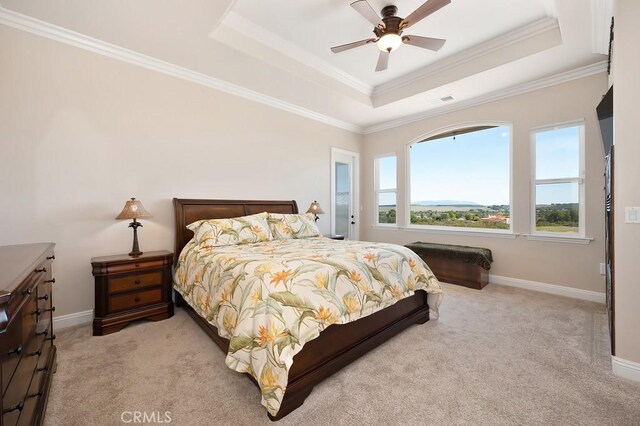 bedroom featuring baseboards, carpet, and a tray ceiling