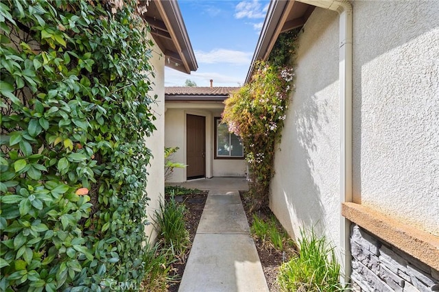 view of exterior entry with stucco siding