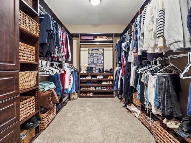 spacious closet with carpet