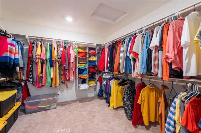 6594 June Mountain Way, Jurupa Valley, CA 92509 - spacious closet with attic access and carpet