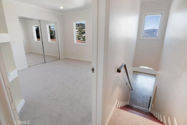 stairway featuring crown molding, carpet flooring, and baseboards