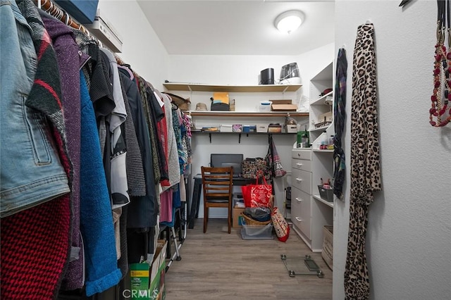 walk in closet featuring wood finished floors