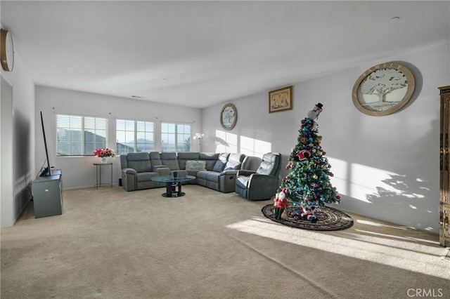 living room featuring carpet floors