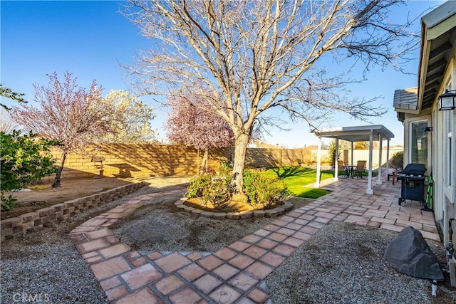 view of yard featuring a patio area and a fenced backyard