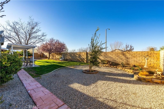 view of yard with a patio and a fenced backyard