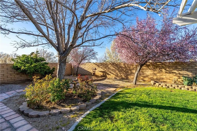 view of yard featuring a fenced backyard