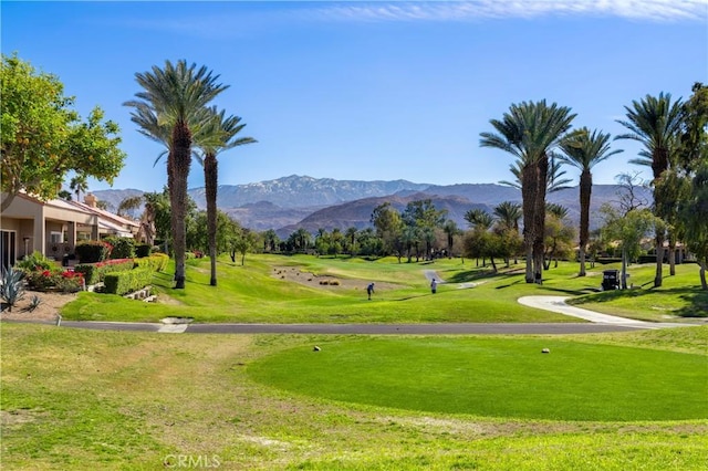 view of home's community with a lawn and a mountain view