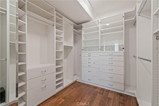 spacious closet with dark wood finished floors