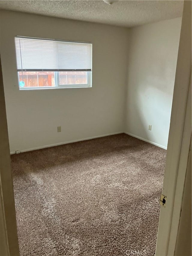 carpeted empty room with baseboards, a wealth of natural light, and a textured ceiling