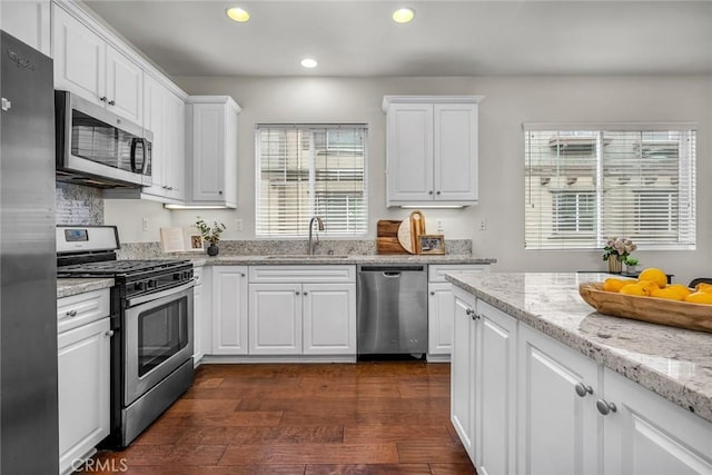 kitchen with dark wood-type flooring, recessed lighting, plenty of natural light, stainless steel appliances, and a sink