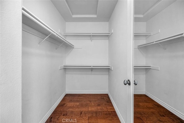 spacious closet with wood finished floors