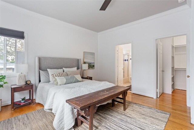 bedroom with a ceiling fan, a spacious closet, light wood-style floors, ensuite bathroom, and crown molding