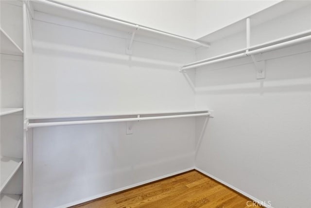 spacious closet with wood finished floors