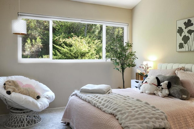 bedroom with carpet flooring