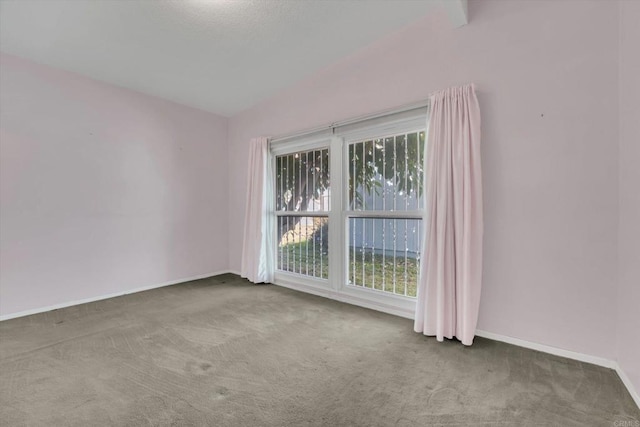 carpeted empty room with baseboards, lofted ceiling, a textured ceiling, and a healthy amount of sunlight