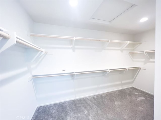 spacious closet with carpet flooring and attic access