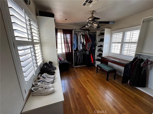 walk in closet featuring ceiling fan, visible vents, and wood finished floors