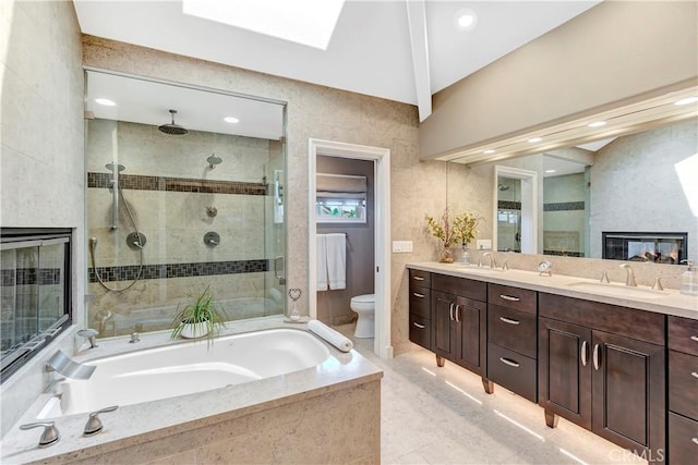 bathroom with a glass covered fireplace, a shower stall, toilet, and a sink