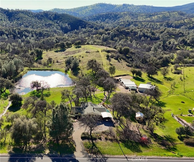 birds eye view of property featuring a water view and a view of trees