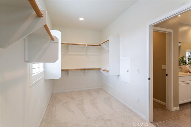 spacious closet with light colored carpet