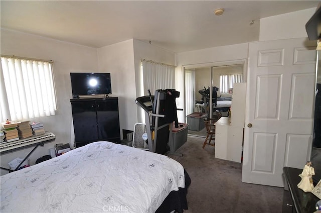 bedroom featuring a closet, multiple windows, and carpet flooring