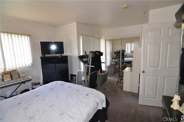 bedroom with a closet and carpet floors