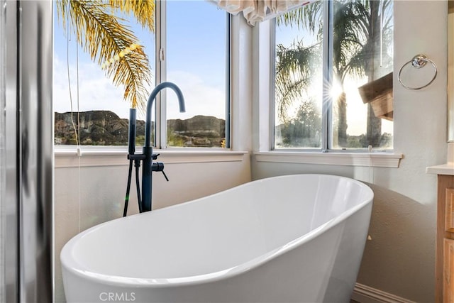 full bath featuring vanity and a freestanding tub