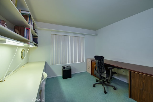 home office featuring carpet