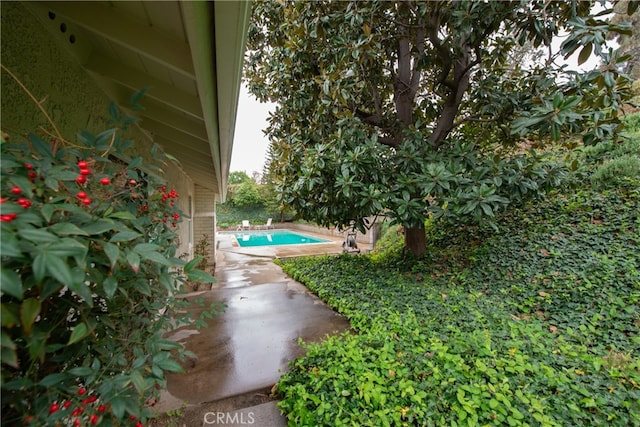 view of yard with a patio area and an outdoor pool