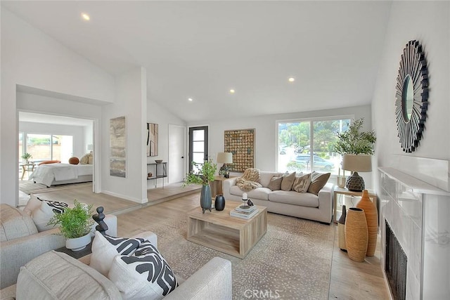 living room featuring a wealth of natural light, light wood-style flooring, and a fireplace