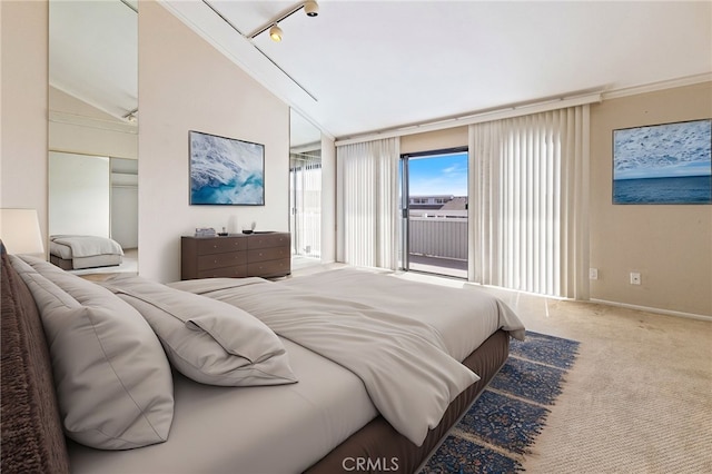 carpeted bedroom featuring access to exterior, rail lighting, and baseboards