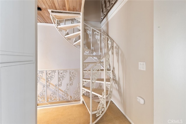 stairway with carpet floors and wooden ceiling