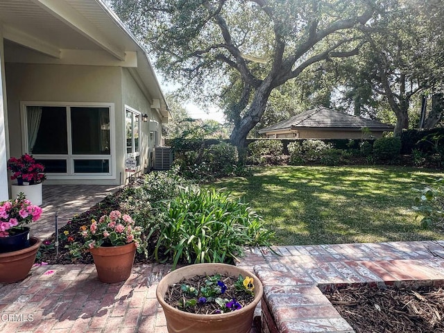 view of yard with a patio