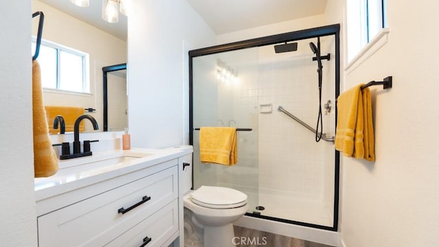 bathroom with toilet, a stall shower, and vanity