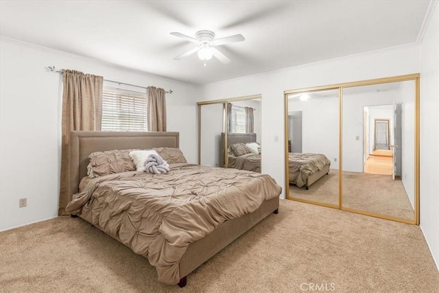 carpeted bedroom with a ceiling fan, multiple closets, and ornamental molding