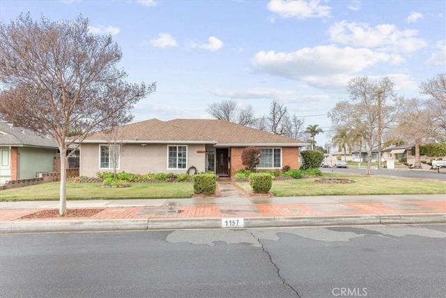 ranch-style house with a front lawn