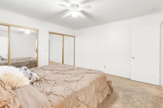 bedroom featuring ceiling fan, two closets, ornamental molding, and carpet flooring