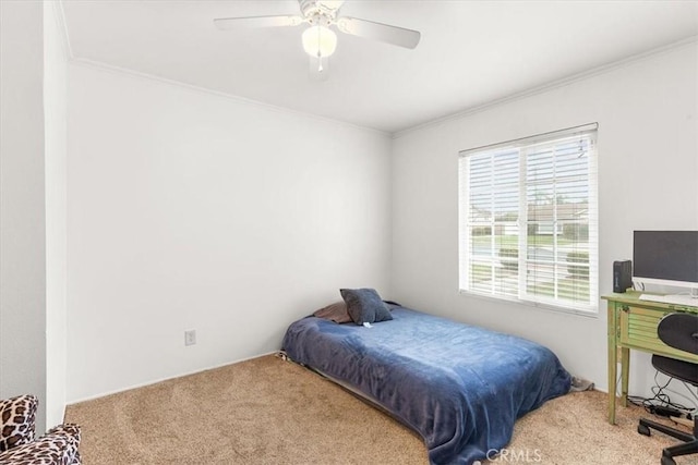 bedroom featuring ceiling fan, carpet, and ornamental molding