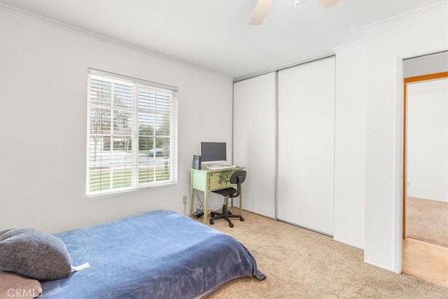 bedroom with ceiling fan, carpet, a closet, and ornamental molding