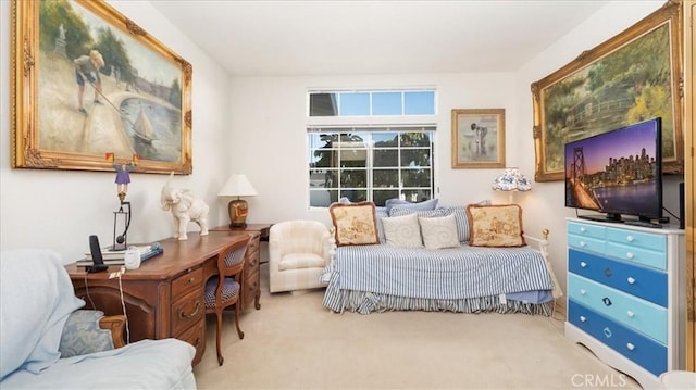 bedroom featuring carpet flooring